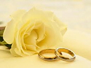 Corel Website Creator X6